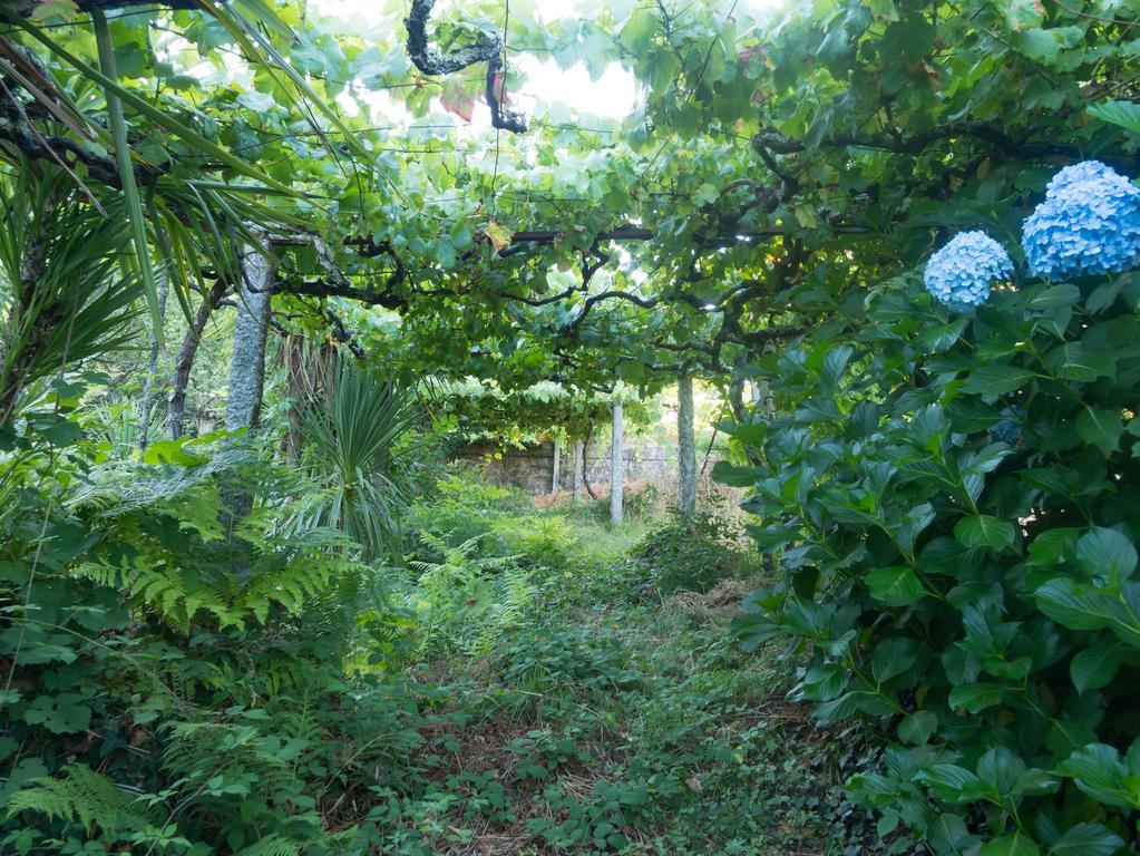 Quinta Das Leiras 圣托·蒂尔索 外观 照片
