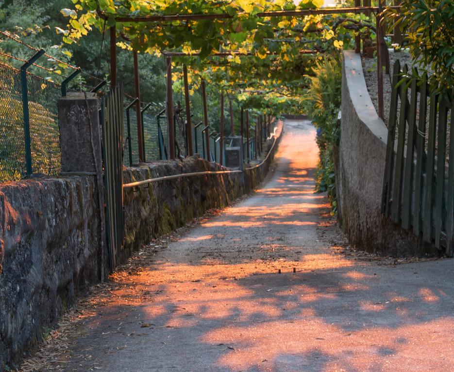 Quinta Das Leiras 圣托·蒂尔索 外观 照片